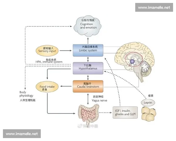 基于系统分析的复杂问题成因机制与解决路径研究综述框架方法与实践启示