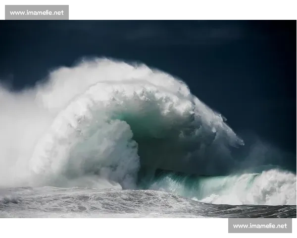 围绕禁赛决定的争议漩涡与体育公平边界的再审视制度反思与未来走向